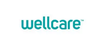 Wellcare health insurance company